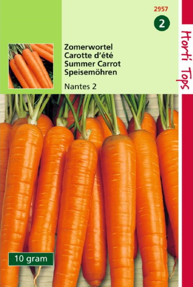 Carrot Nantes 2 (Daucus) 10000 seeds